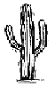 Saguaro (Official State Flower)